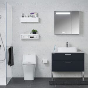 THIẾT BỊ VỆ SINH VIGLACERA